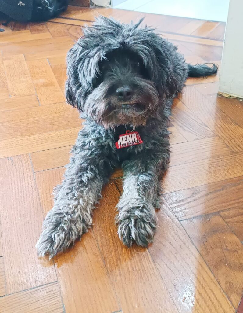 whatsapp image 2026 01 03 at 16.15.37